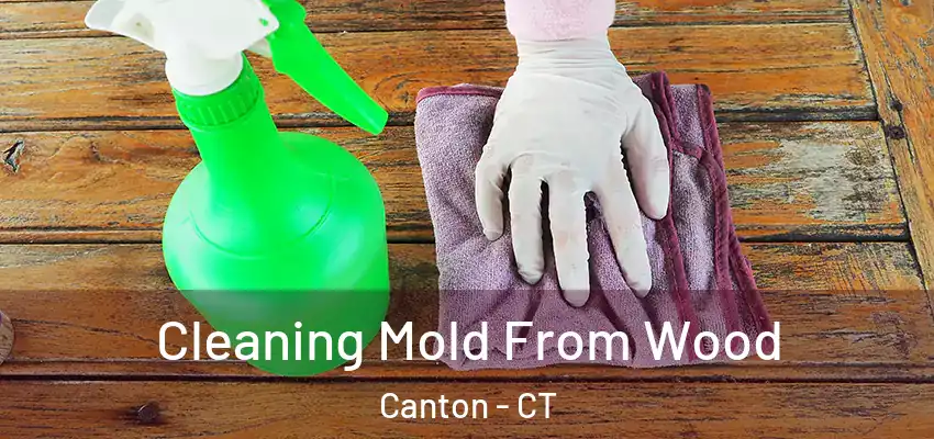 Cleaning Mold From Wood Canton - CT