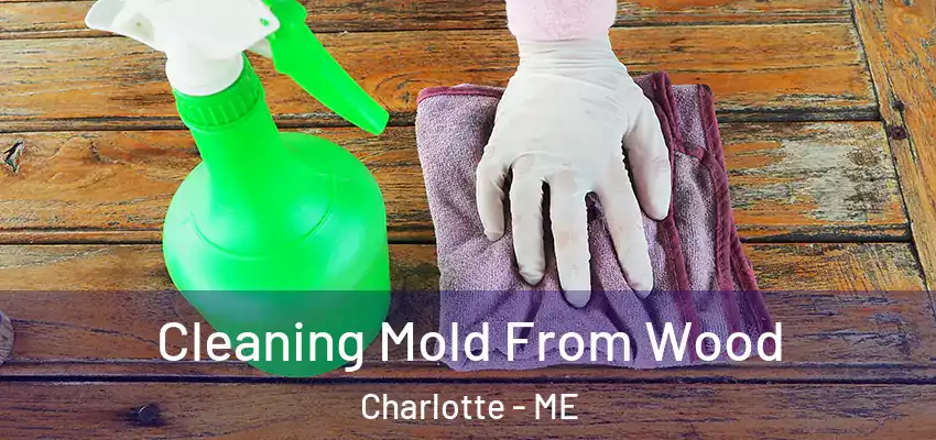  Cleaning Mold From Wood Charlotte - ME