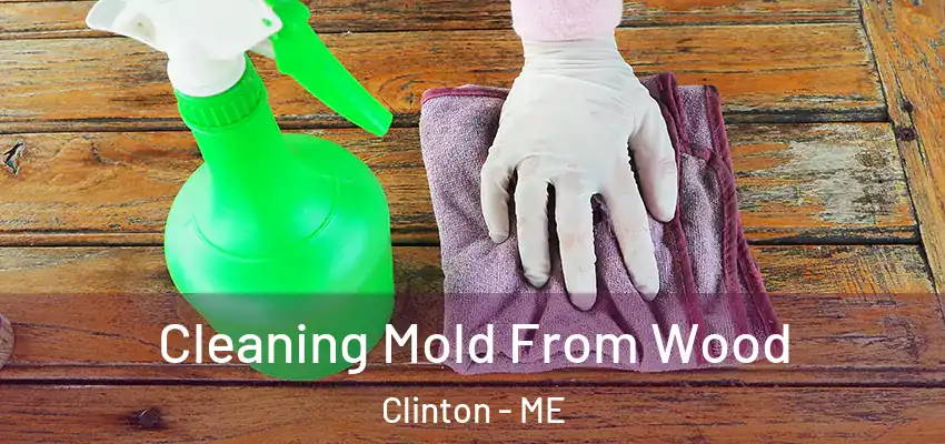  Cleaning Mold From Wood Clinton - ME