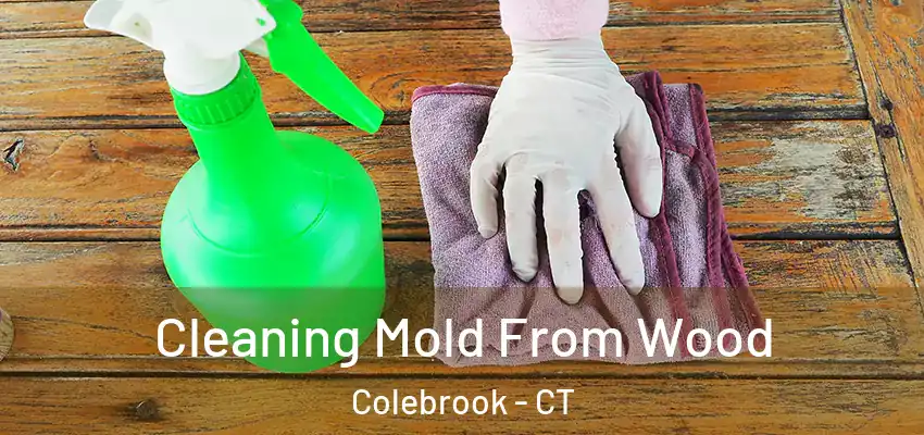  Cleaning Mold From Wood Colebrook - CT