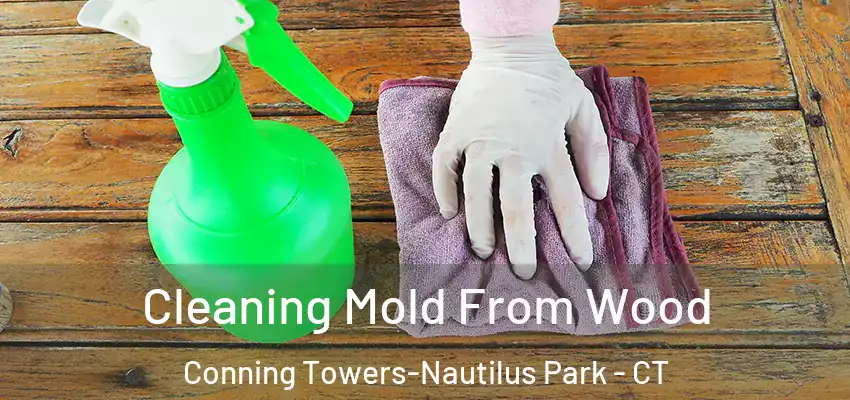 Cleaning Mold From Wood Conning Towers-Nautilus Park - CT