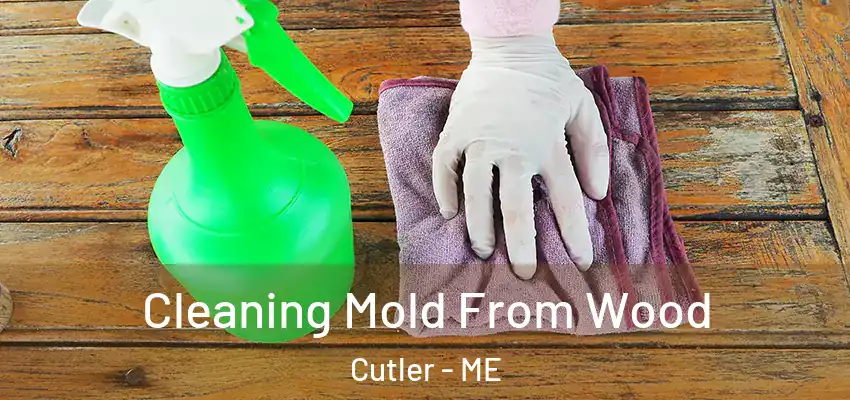 Cleaning Mold From Wood Cutler - ME