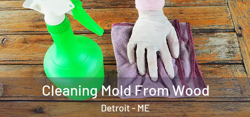  Cleaning Mold From Wood Detroit - ME