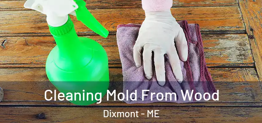  Cleaning Mold From Wood Dixmont - ME
