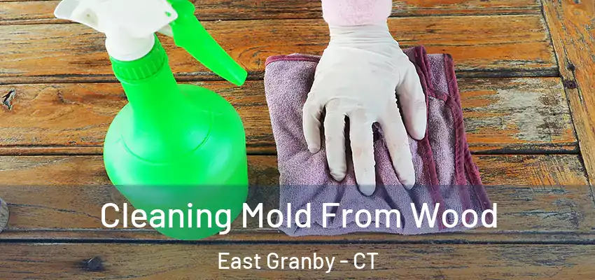 Cleaning Mold From Wood East Granby - CT