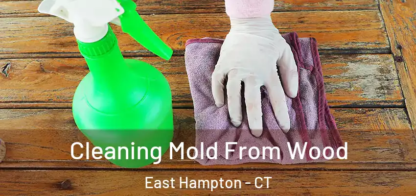  Cleaning Mold From Wood East Hampton - CT