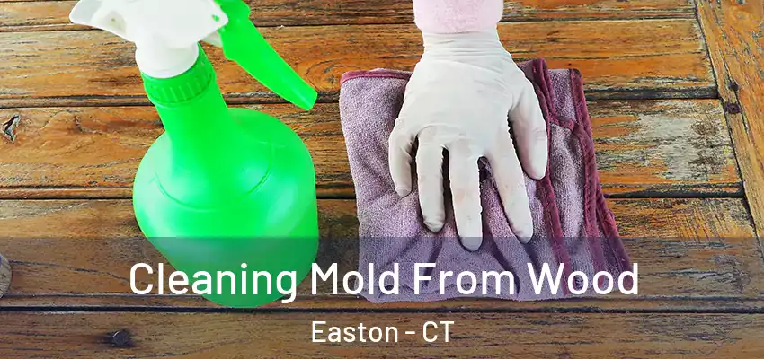  Cleaning Mold From Wood Easton - CT