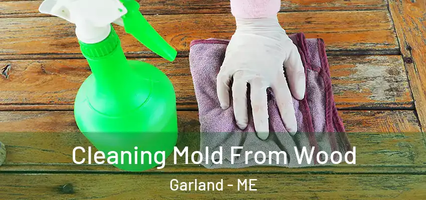  Cleaning Mold From Wood Garland - ME
