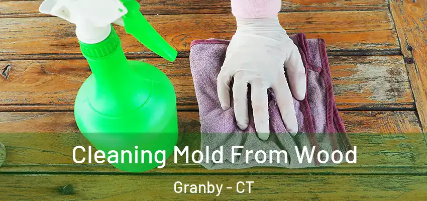  Cleaning Mold From Wood Granby - CT