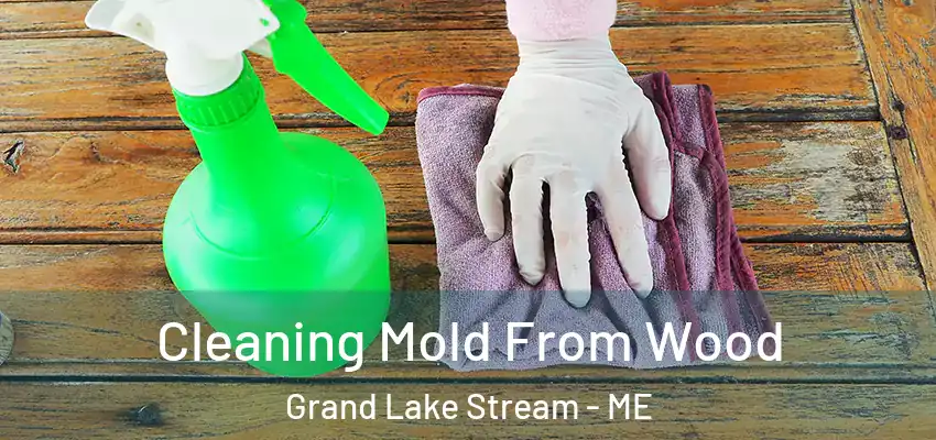  Cleaning Mold From Wood Grand Lake Stream - ME