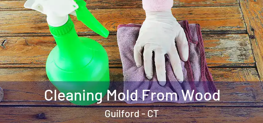 Cleaning Mold From Wood Guilford - CT