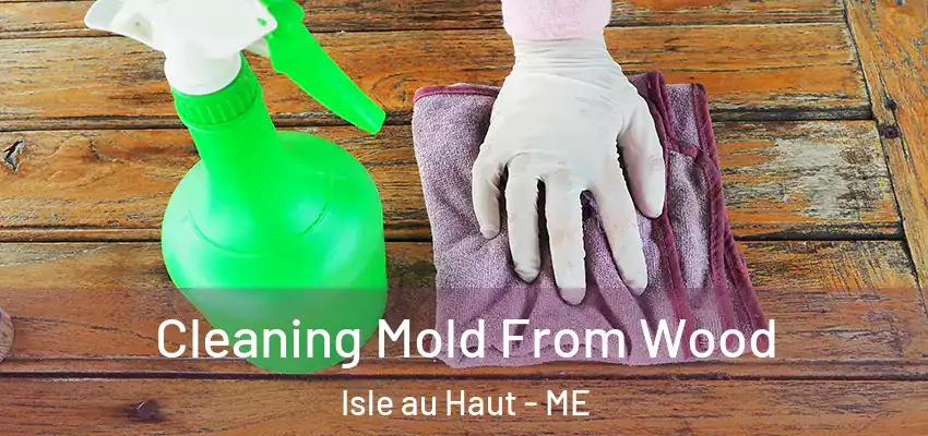  Cleaning Mold From Wood Isle au Haut - ME