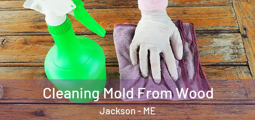 Cleaning Mold From Wood Jackson - ME