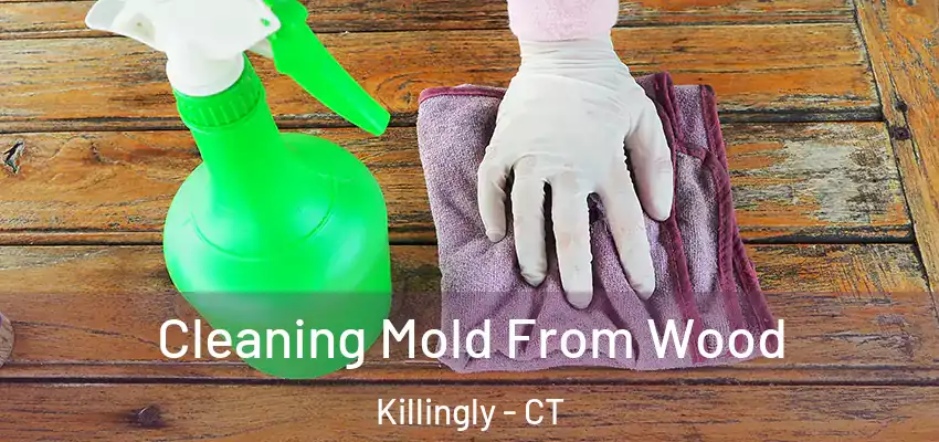 Cleaning Mold From Wood Killingly - CT
