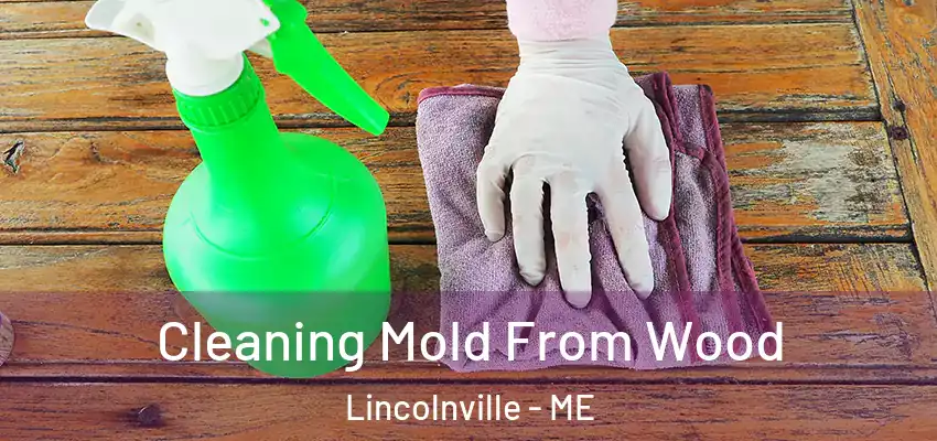  Cleaning Mold From Wood Lincolnville - ME