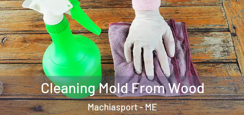 Cleaning Mold From Wood Machiasport - ME