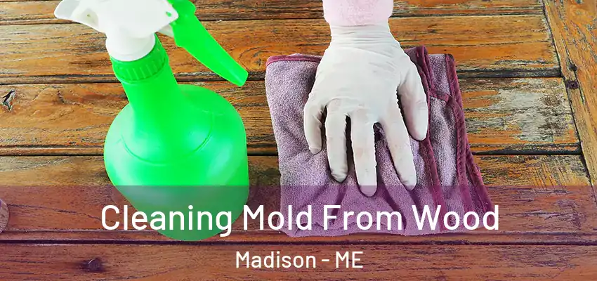 Cleaning Mold From Wood Madison - ME