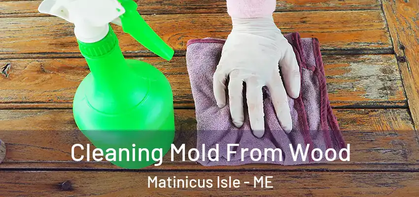  Cleaning Mold From Wood Matinicus Isle - ME