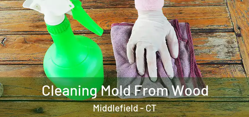 Cleaning Mold From Wood Middlefield - CT