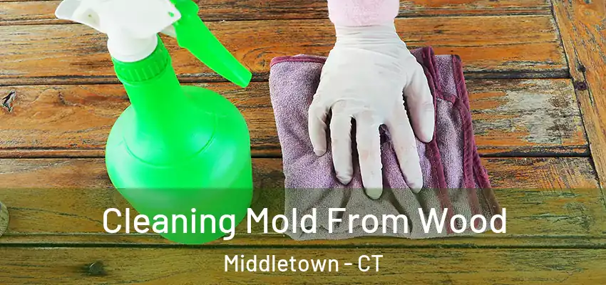  Cleaning Mold From Wood Middletown - CT
