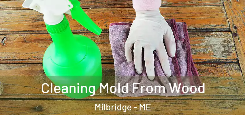 Cleaning Mold From Wood Milbridge - ME