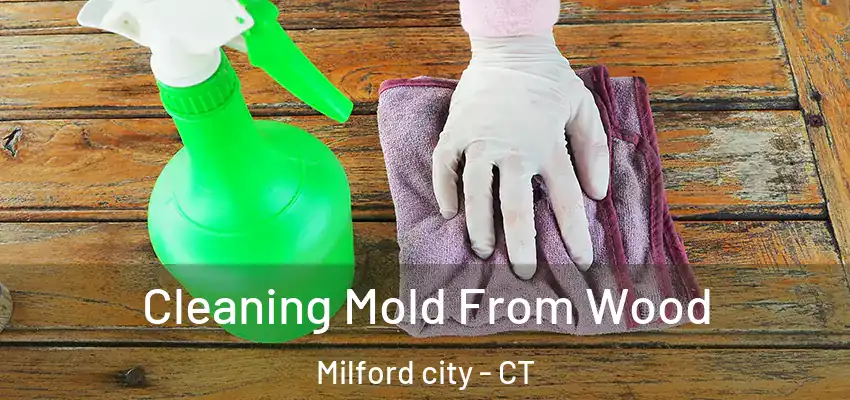 Cleaning Mold From Wood Milford city - CT
