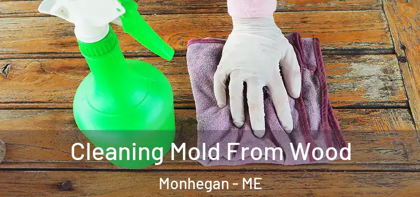 Cleaning Mold From Wood Monhegan - ME