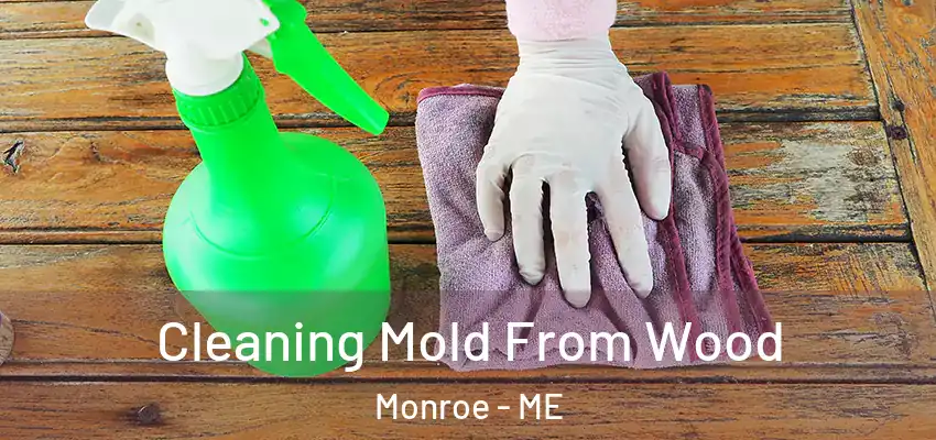  Cleaning Mold From Wood Monroe - ME