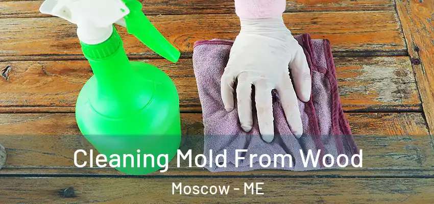  Cleaning Mold From Wood Moscow - ME