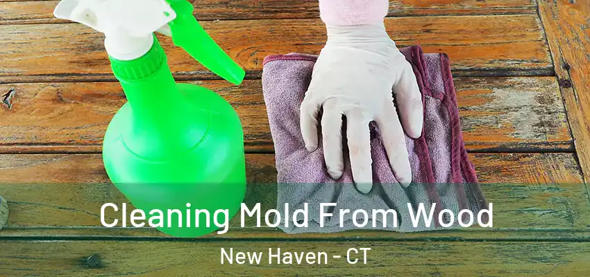 Cleaning Mold From Wood New Haven - CT
