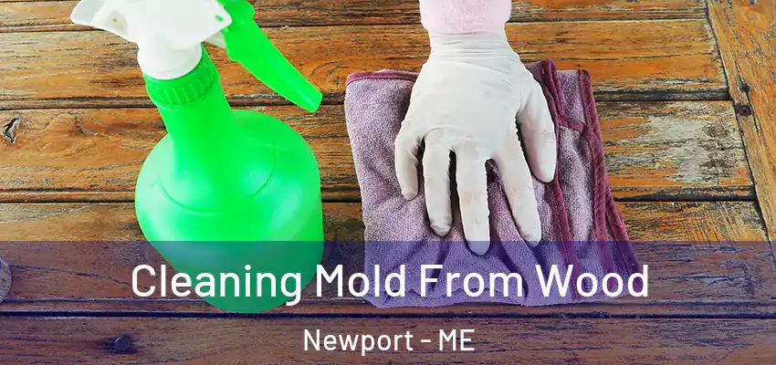  Cleaning Mold From Wood Newport - ME