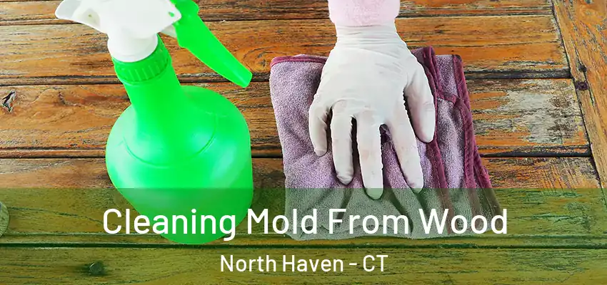 Cleaning Mold From Wood North Haven - CT