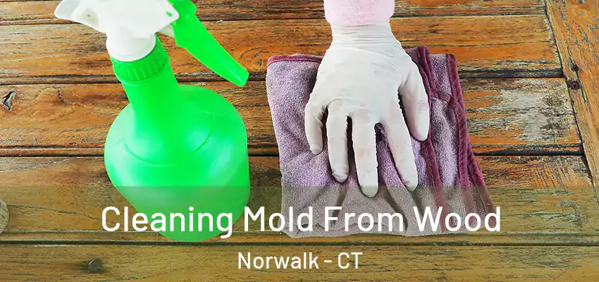 Cleaning Mold From Wood Norwalk - CT