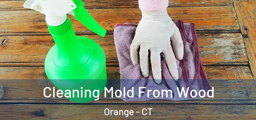 Cleaning Mold From Wood Orange - CT