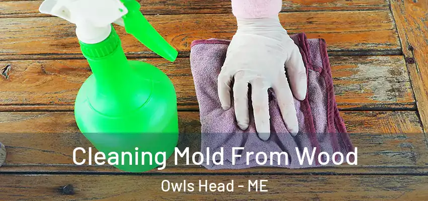  Cleaning Mold From Wood Owls Head - ME