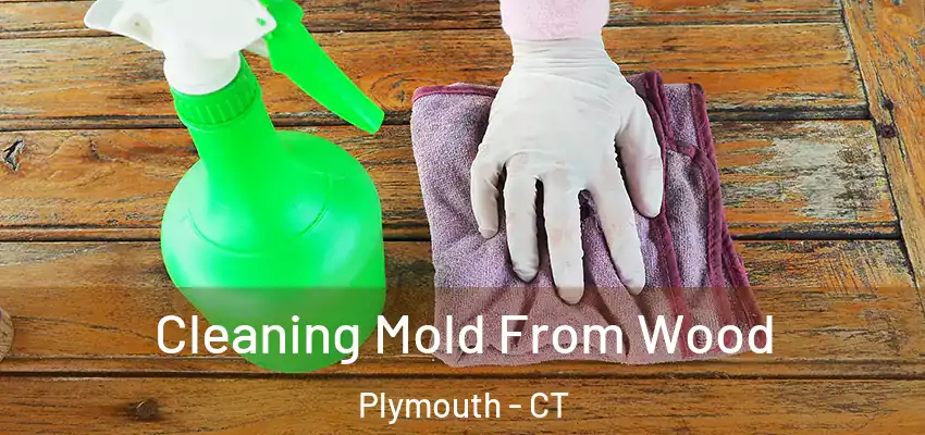 Cleaning Mold From Wood Plymouth - CT
