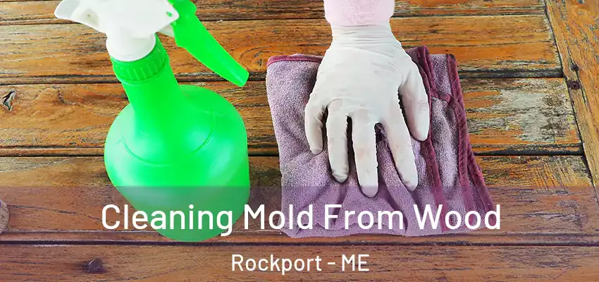  Cleaning Mold From Wood Rockport - ME