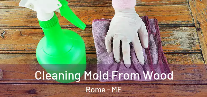 Cleaning Mold From Wood Rome - ME