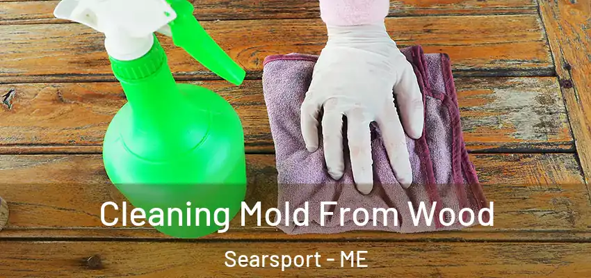  Cleaning Mold From Wood Searsport - ME