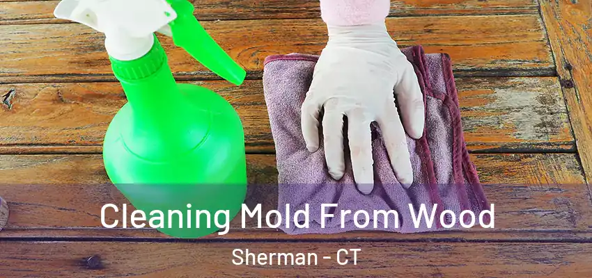 Cleaning Mold From Wood Sherman - CT