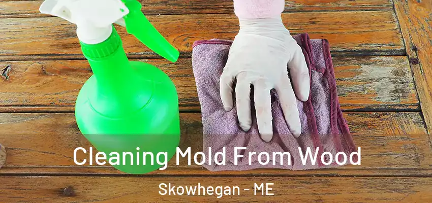 Cleaning Mold From Wood Skowhegan - ME