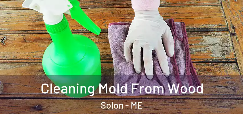  Cleaning Mold From Wood Solon - ME