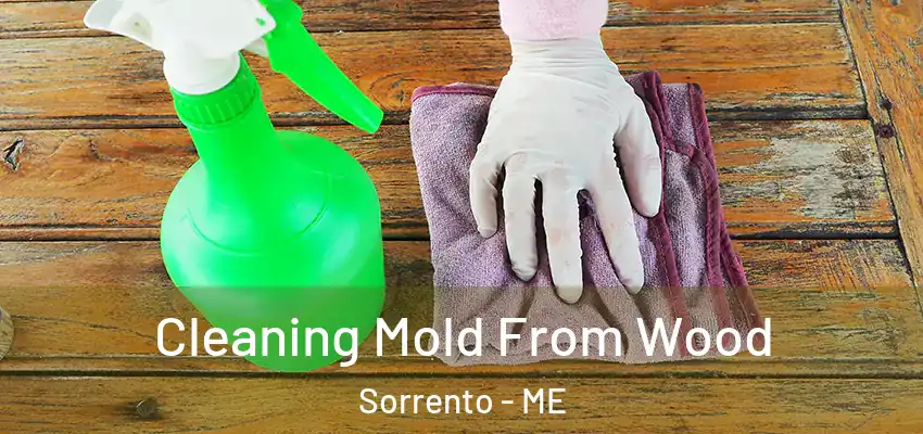 Cleaning Mold From Wood Sorrento - ME