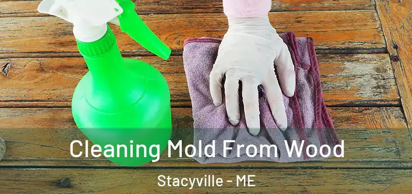  Cleaning Mold From Wood Stacyville - ME