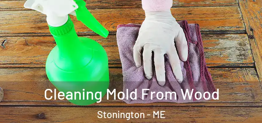  Cleaning Mold From Wood Stonington - ME