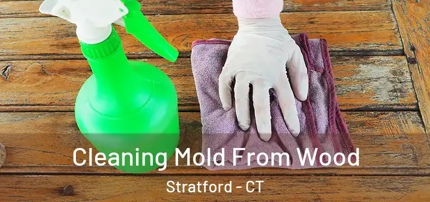 Cleaning Mold From Wood Stratford - CT