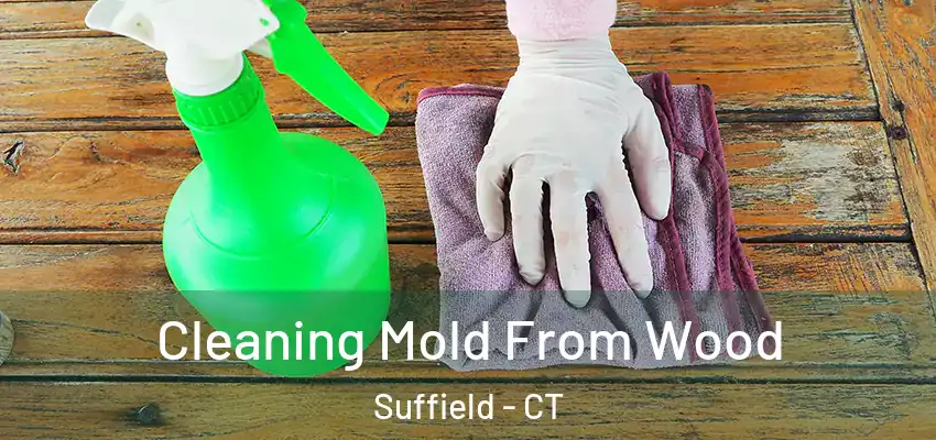  Cleaning Mold From Wood Suffield - CT