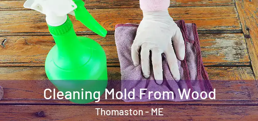 Cleaning Mold From Wood Thomaston - ME