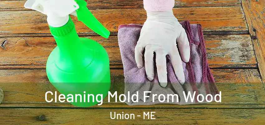  Cleaning Mold From Wood Union - ME
