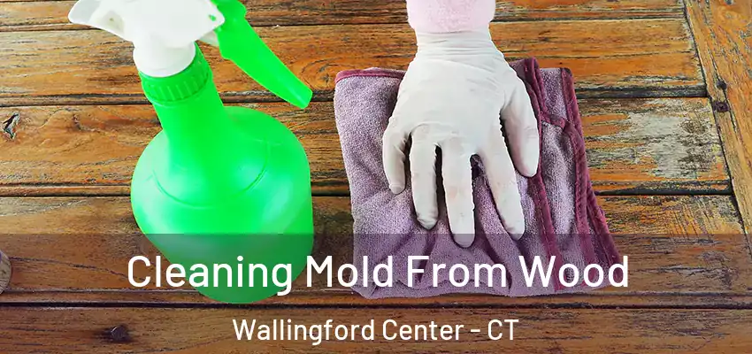 Cleaning Mold From Wood Wallingford Center - CT